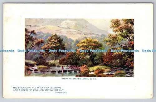 R768184 Capel Curig Stepping Stones Picturesque Wales Tuck Oilette Platemarked N