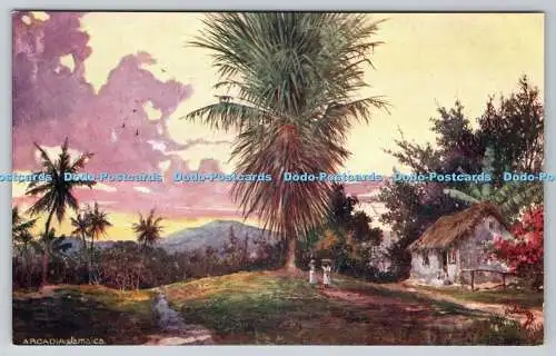 R768292 Jamaica Arcadia Tuck Oilette The Wide Wide World 7295