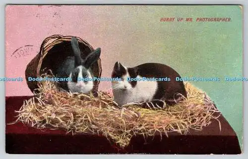 R768354 Hurry Up Mr Photographer Cat and Rabbit 1913