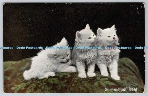 R770037 On Mischief Bent White Kitten Wildt and Kray Serie 875 A