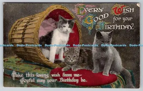 R770038 Every Good Wish for Your Birthday Kittens Valentinstag Serie