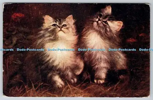 R770040 Zwei Katzen J Salmon Ltd Postkarte