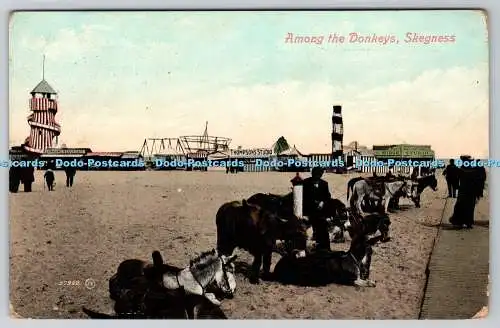 R770043 Skegness Among the Donkeys Valentines Serie