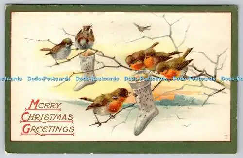 R770216 Frohe Weihnachtsgrüße Vögel Raphael Tuck and Sons Weihnachten Serie N