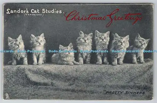 R770220 Pretty Sinners Cats Landor Cat Studies Raphael Tuck and Sons Sapphire Po