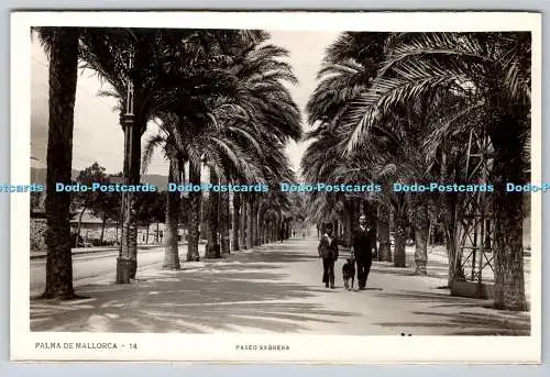 R770225 Palma de Mallorca Paseo Sagrera