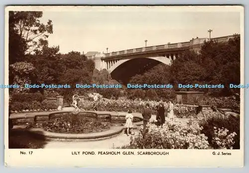 R768559 Scarborough Lily Pond Peasholm Glen G J Serie RP