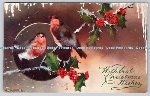 R770241 Mit besten Weihnachtswünschen Vögel Raphael Tuck und Söhne Oilette Postkarte