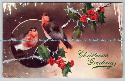 R770242 Weihnachtsgrüße Vögel Raphael Tuck und Söhne Oilette Postkarte 8278 19