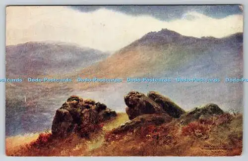 R768580 The Valley of Widecombe in the Moor J Salmon Sevenoaks England W H Dyer