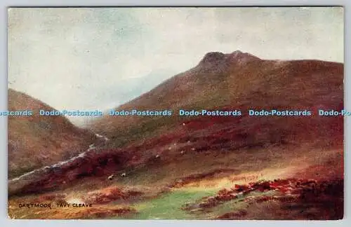 R768581 Dartmoor Tavy Cleave J Salmon Sevenoaks England W H Dyer