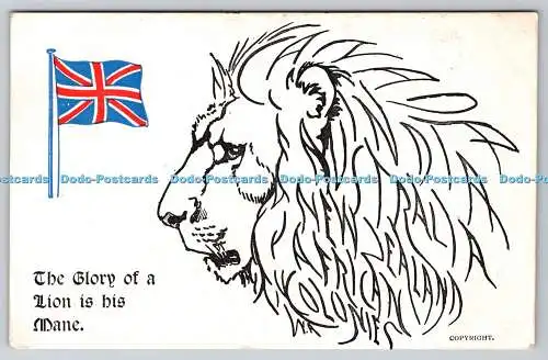 R768641 The Glory of a Lion is His Mane Lion Flag Boots the Chemists Patriotic S