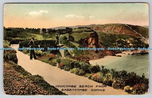 R770485 Oddicombe Beach from Babbacombe Downs 1907