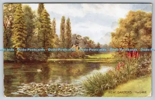 R768886 Kew Gardens The lake J Salmon Sevenoaks England C T Howard