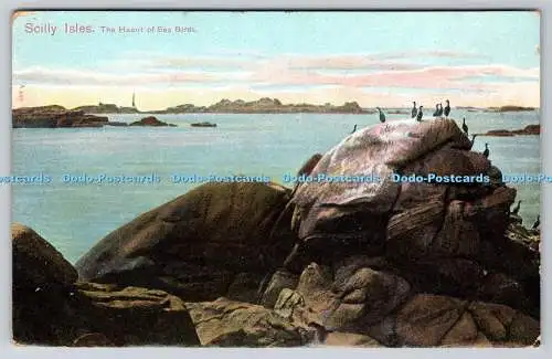 R768926 Scilly Isles The Haunt of Sea Birds The Pictorial Stationery London Peac