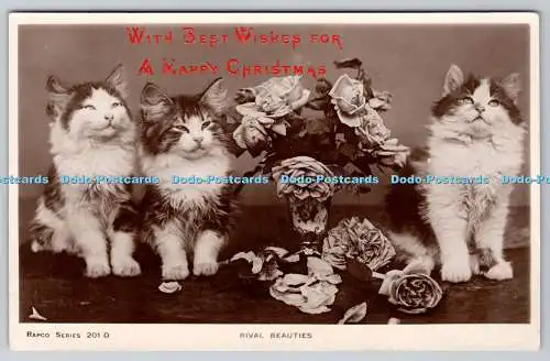 R768949 Rival Beauties Katzen Rosen Regal Art London Rapco RP 1907