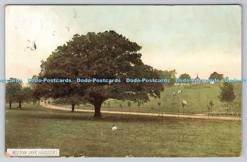 R768988 Leicester Western Park W H S und S L PM Chelsea 1905