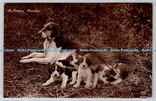 R769030 A Happy Family Dog and Puppies E A Schwerdtfeger London