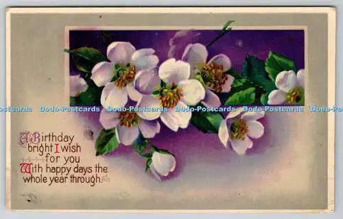 R769050 A Birthday Bright I Wish For You Flowers Serie 19 PM Sleaford 1913