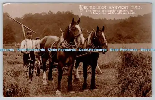 R769056 The Golden Harvest Time Horses E A Schwerdtfeger London PM Thornton Brad