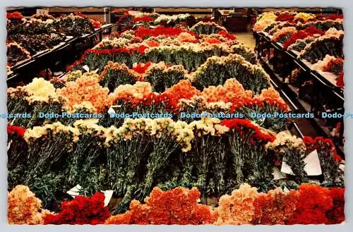 R770757 Aalsmeer Interior Flower Auction W G Buis