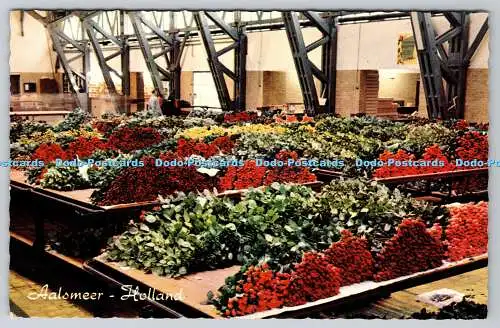 R770759 Aalsmeer Holland Interior Flower Auction W G Buis