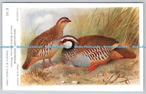 R769115 British Museum Natural History Red Legged Rebhuhn Vogel H Gronvold W F