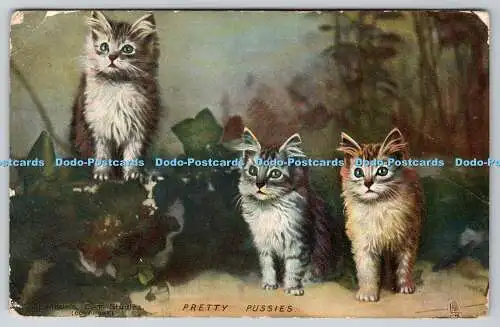 R770903 Pretty Pussies Kittens Raphael Tuck and Sons Photochrome Series 6495 Lan