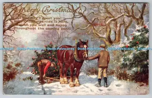 R770956 A Merry Christmas Horse Holly Days Raphael Tuck and Sons Oilette Postcar