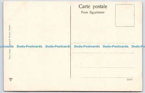 R770988 Reunion d une Circision Arabe Cairo Postcard Trust