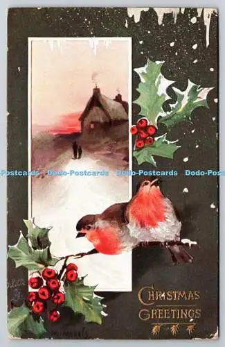 R771044 Weihnachtsgrüße Haus Vögel Weihnachts Postkarte Raphael Tuck and Sons