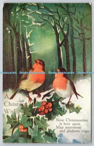 R771052 Ein Weihnachtswunsch zwei Vögel Raphael Tuck und Söhne Oilette Postkarte Nr. C 7