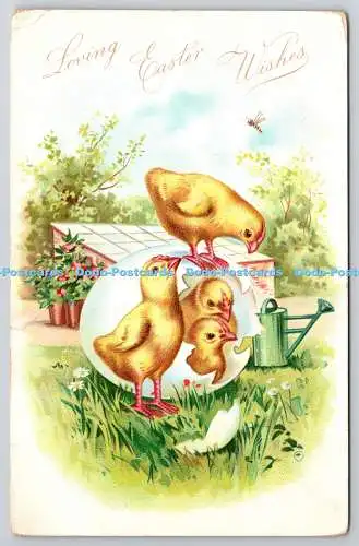 R771153 Liebevolle Osterwünsche Hühner und Ei Raphael Tuck and Sons Osterpost