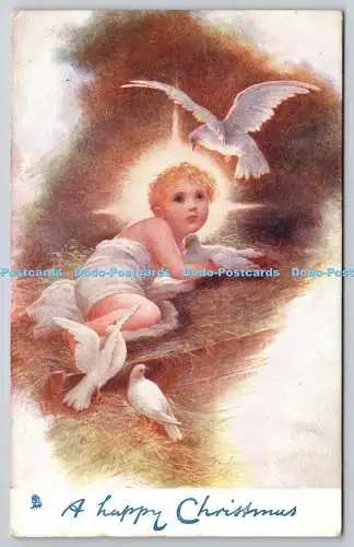 R772396 A Happy Christmas Baby Jesus Birds Tuck Oilette C 288 PM Stowmarket 1907