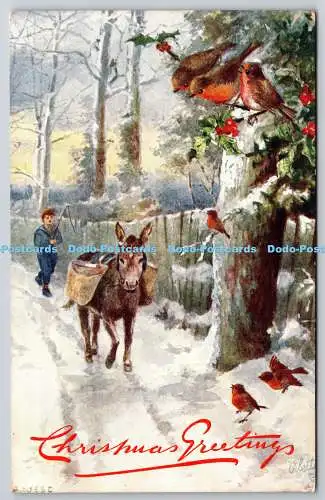 R771189 Weihnachtsgrüße Junge und Esel im Wald Raphael Tuck und Söhne O