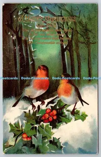 R771197 A Happy Christmas to You Two Birds on the Branch Raphael Tuck and Sons C