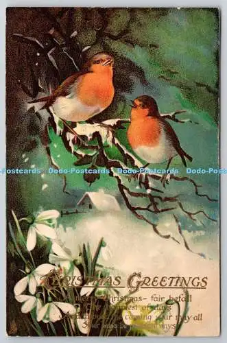 R771379 Weihnachtsgrüße Zwei Vögel Raphael Tuck und Söhne Weihnachtsserie Nr