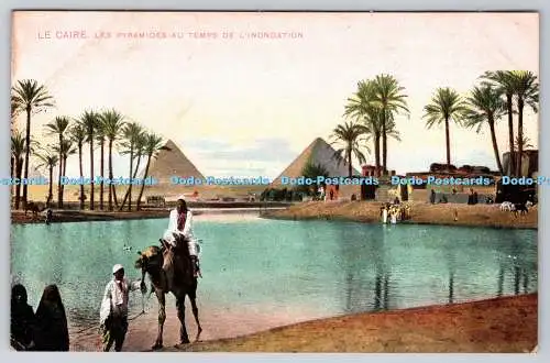 R772637 Le Caire Les Pyramides au Tamps de L Inondation The Cairo Postcard Trust