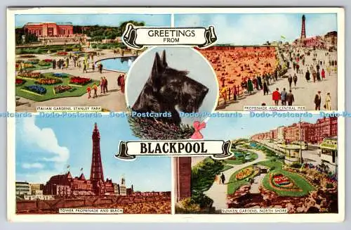 R772646 Grüße von der Blackpool Promenade und dem Central Pier Italian Gardens Stan