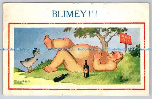 R772660 Blimey D Constance komplett neu Donald McGill Comics PM Brighton Hove Sussex