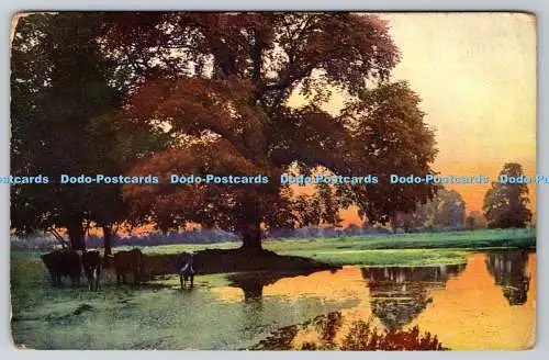 R772700 Beauty Spots of England Studie Warwickshire Photochromie Serie 180 Nr 31