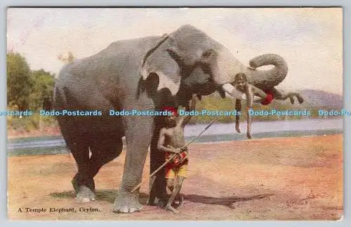 R772980 Ceylon A Temple Elefant Plate No 46