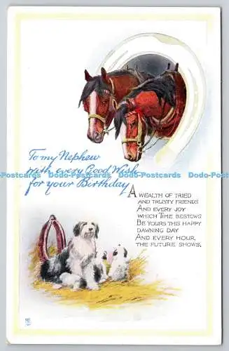 R773011 To My Nephew With Every Good Wish For Your Birthday Horse Dogs Tuck Gem