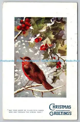 R771798 Weihnachtsgrüße Vogel Tuck Oilette Teller gemarkt Nr C996 1908