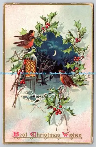 R771810 Beste Weihnachtswünsche Vogel Mond Winter Tuck Stechpalme Postkarten Serie 100