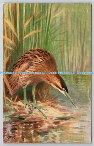 R773084 Bittern Bird The R S Art Press R S Series