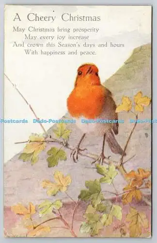 R771869 A Cheery Christmas Bird Robin Redbreast Tuck Oilette No 1527