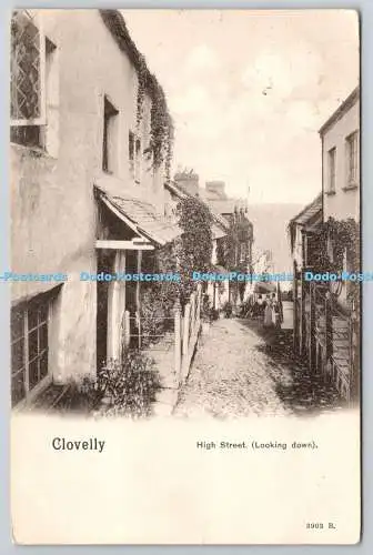 R771938 Clovelly High Street Looking Down Peacock PM Ilfracombe 1904