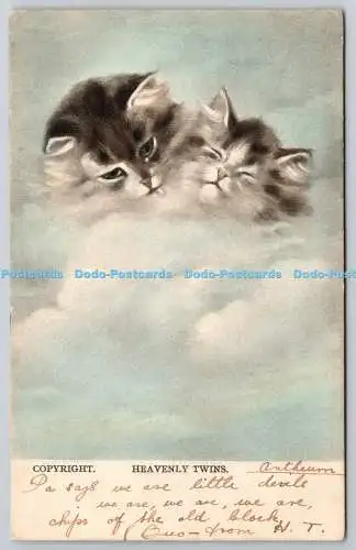 R771989 Himmlische Zwillinge Katzen H L R London Nr 603