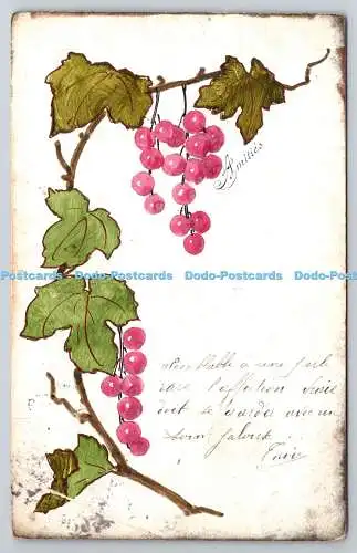 R773406 Beeren Postkarte 1904